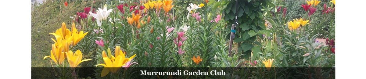 Murrurundi Garden Club