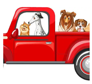 Dog in a Ute Convoy World Record Attempt